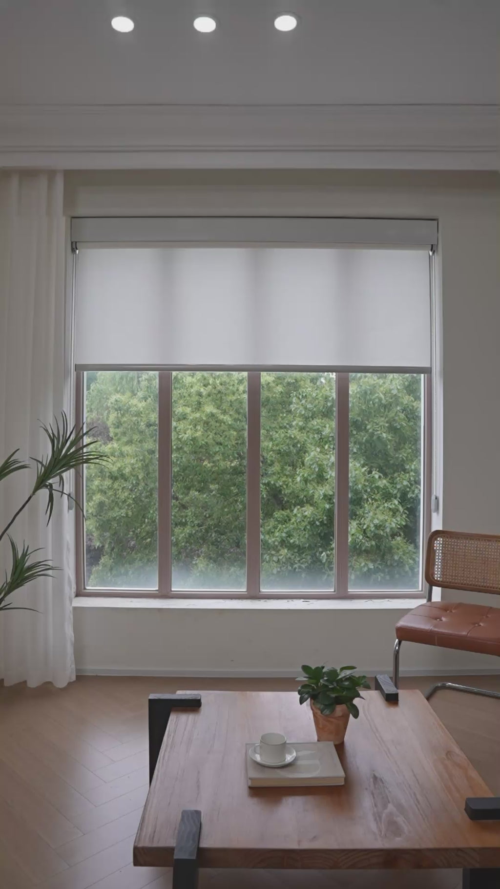 Multidisciplinary Trackless Smart Floating Curtains